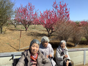 花桃の丘へ 大場町みんなのいえわたせハウス