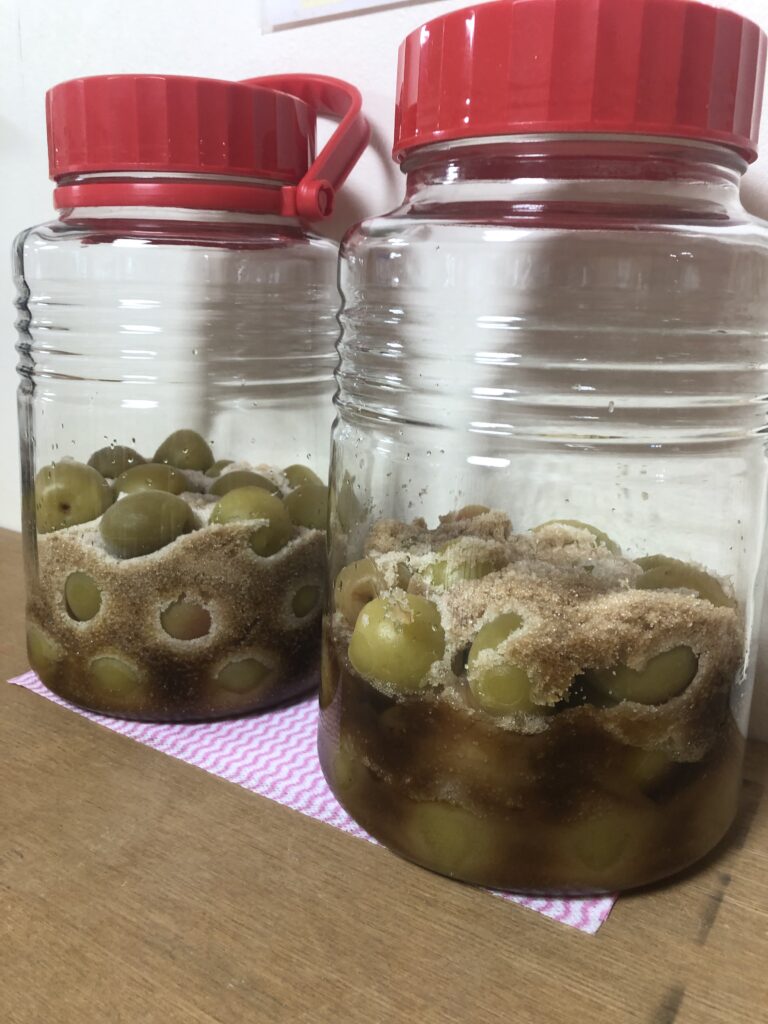 もうすこし まっていて | 横浜市認可ピッピ保育園